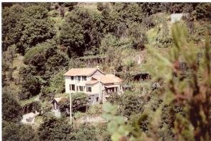 Bauernhaus / Umgebung: Verkauf Bauernhaus bei Savona / Ligurien / Italien : Ausgebautes altes Bauernhaus bei Savona, Meerblick