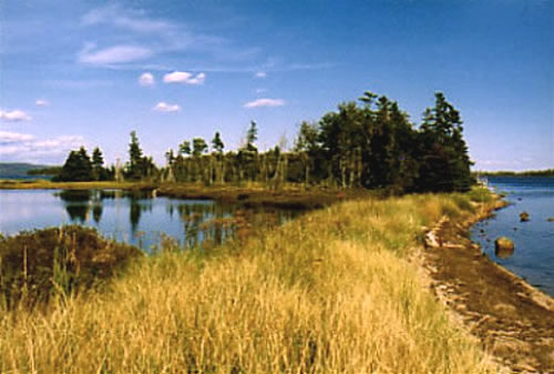 Ansicht 3 : Verkauf Grundstück Nova Scotia / Kanada: Verkauf Waldgrundstück mit Seeufer und Meerblick am Bras d'or Lake, Halbinsel Widow Point 