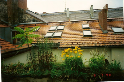 Innenhof: Immobilien Berlin: Verkauf Dachgeschosswohnung mit Dachterrasse im Bezirk Kreuzberg / Viktoriapark, Nähe Regierungsviertel