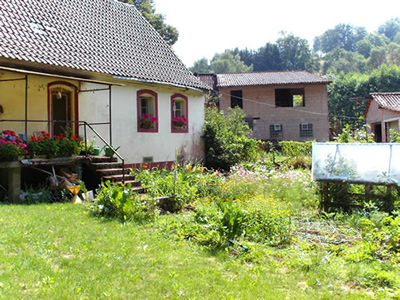 Wohnhaus mit Nebengebäude: Verkauf ehemalige Mühle / Anwesen in Rheinland-Pfalz im LK Kaiserslautern  zwischen Homburg und Landstuhl: Absolute Alleinlage in einem stillen Tal!