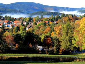 verkauf Grundstück Harz zur Bebauung mit Ferienhäuser