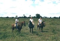 Finca Ranch Immobilien Paraguay