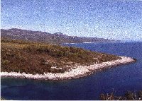 Bauplatz Grundstück Kroatien Dalmatien Insel Korcula