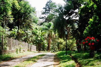 Garten: Verkauf Haus bei Sao Paulo / Brasilien : Luxus Haus in Itapecerica 30 km südlich von Sao Paulo / Brasilien