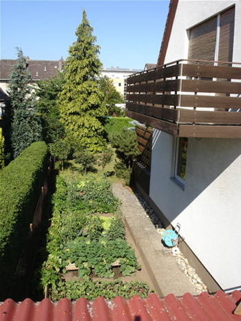 Ansicht Südseite mit Gemüsegarten: Immobilien Nürnberg: Verkauf DHH mit Einliegerwohnung in Nürnberg / Worzeldorf (Südstadt), ruhige, sonnige Lage