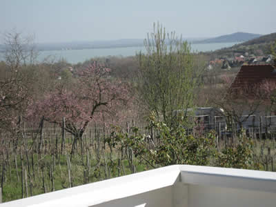 Aussicht: Immobilien Balaton / Ungarn, Verkauf Haus / Ferienhaus im Naturschutzgebiet am Balaton / Ungarn