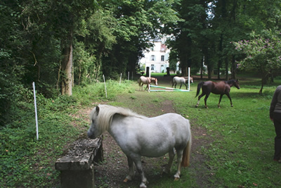 Pferdekoppel: Verkauf Schloss / Chateau / Landsitz bei Besancon, nahe der Deutschen und Schweizer Grenze. 