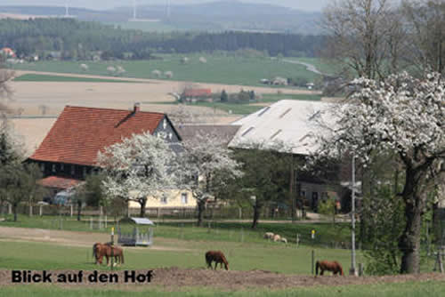 Gesamtansicht: Verkauf Dreiseithof / Reiterhof in Traumlage in der Region Sächsische Schweiz, östlich von Dresden