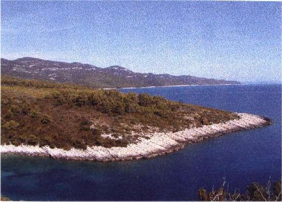 Grundstück / Bauplatz Dalmatien / Kroatien : Insel Korcula, Verkauf Grundstück am Meer, eigene Bucht