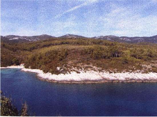 Grundstück / Bauplatz Dalmatien / Kroatien : Insel Korcula, Verkauf Grundstück am Meer, eigene Bucht